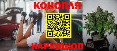 винт Донецк