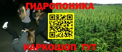 крисы Донской
